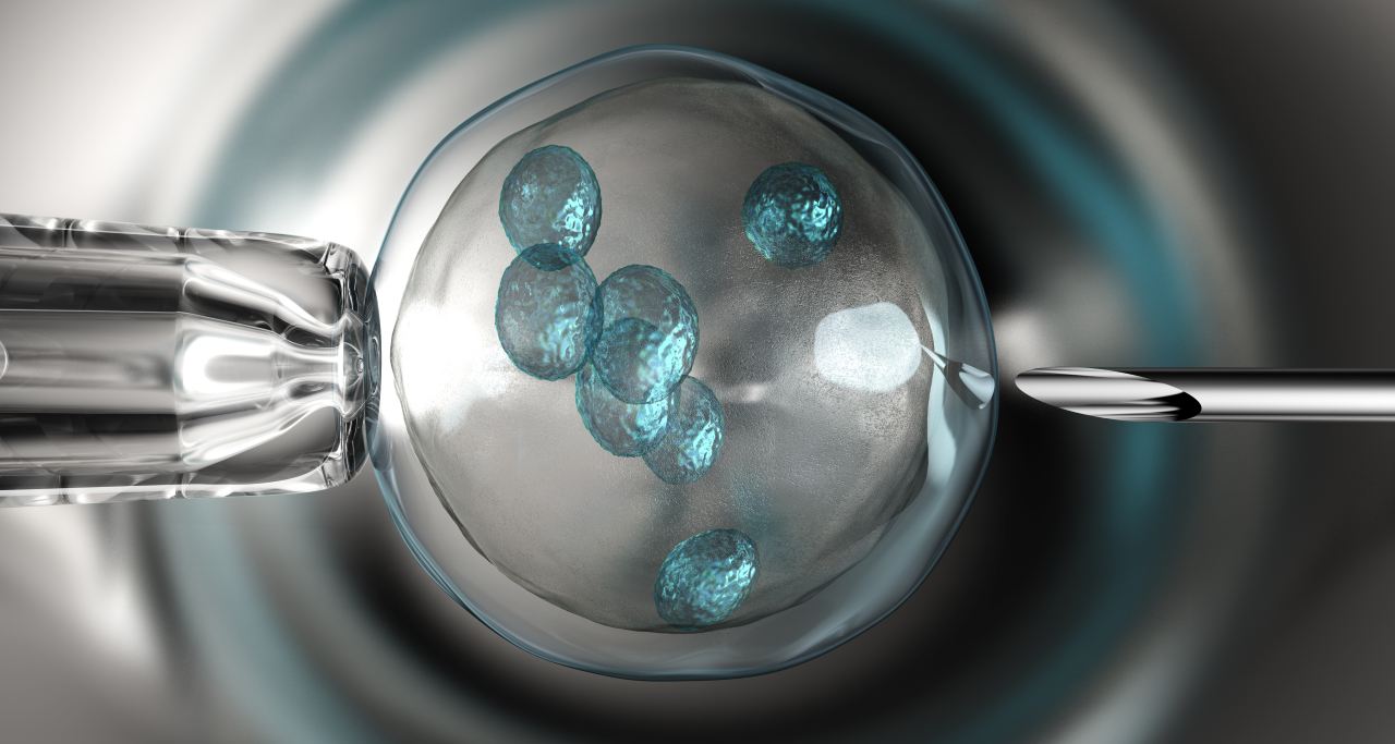 b99385c0-23da-4b33-a87a-577aa848c14e.png